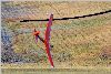 NewYearsFlyIn2014-02